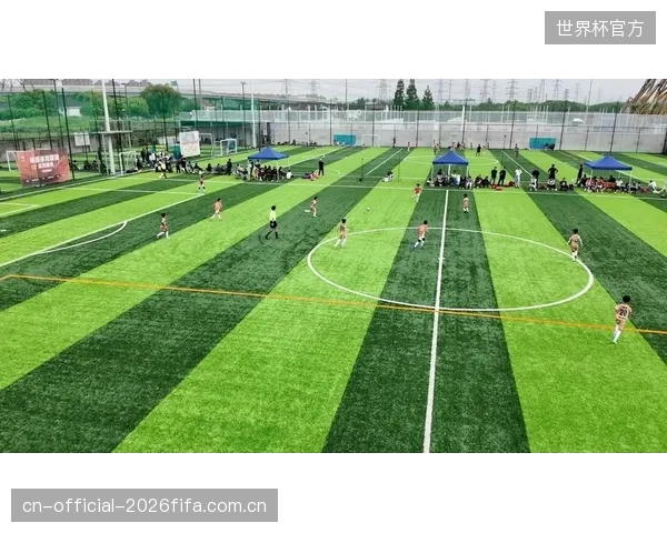 两名边后卫的进攻参与度极高,但他们身后留下的空档需要中场协同保护。 两名边后卫的进攻参与度极高,但他们身后留下的空档需要中场协同保护。